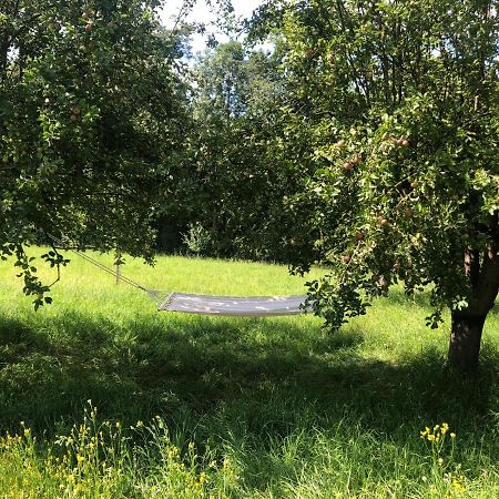 Appartamento Sonnenhof Limbach im Burgenland Esterno foto