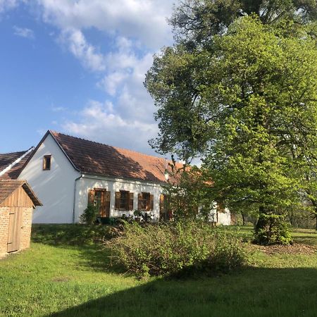 Appartamento Sonnenhof Limbach im Burgenland Esterno foto