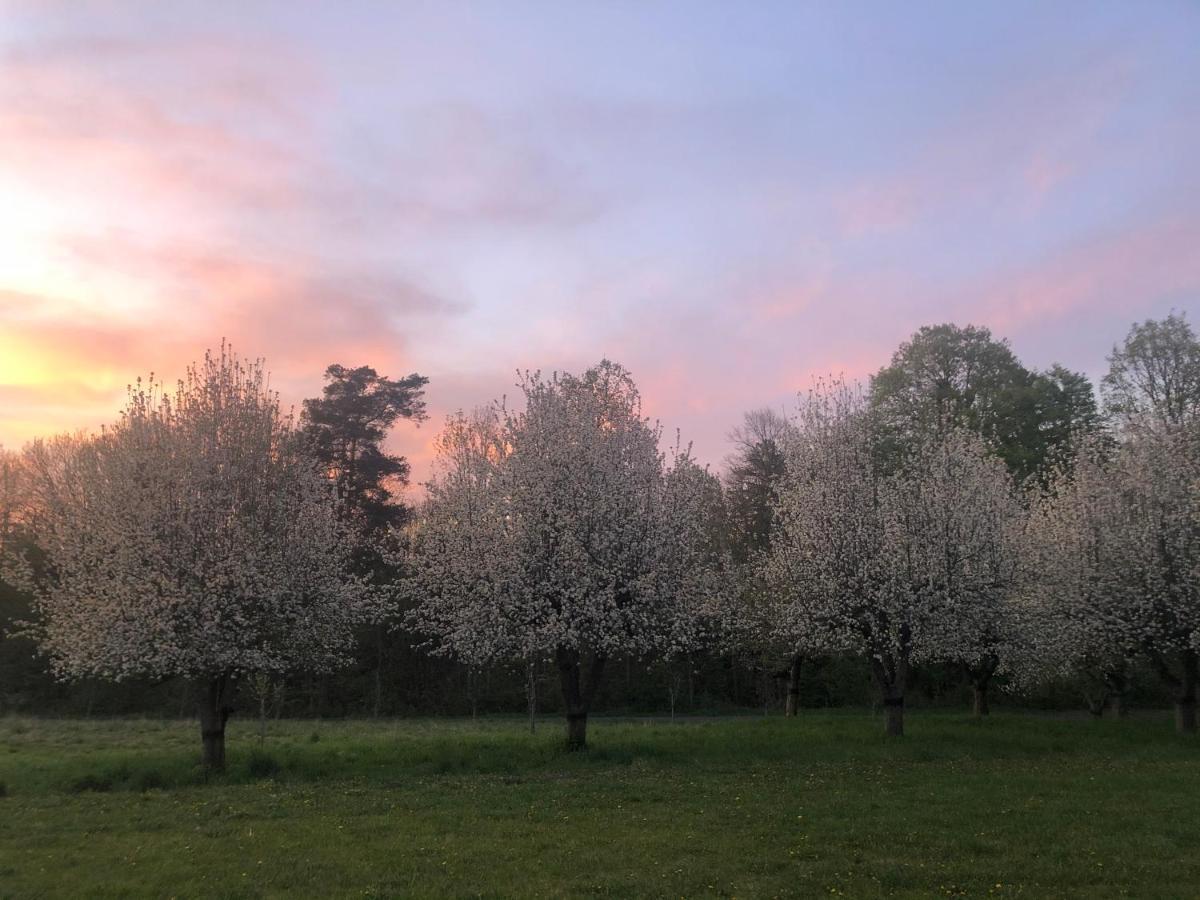 Appartamento Sonnenhof Limbach im Burgenland Esterno foto