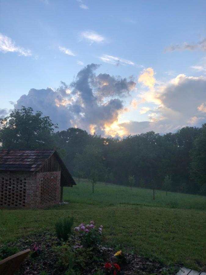 Appartamento Sonnenhof Limbach im Burgenland Esterno foto