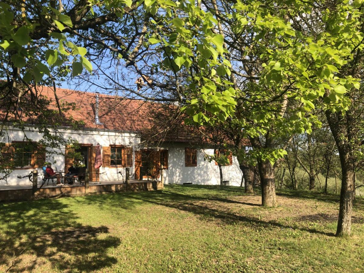 Appartamento Sonnenhof Limbach im Burgenland Esterno foto