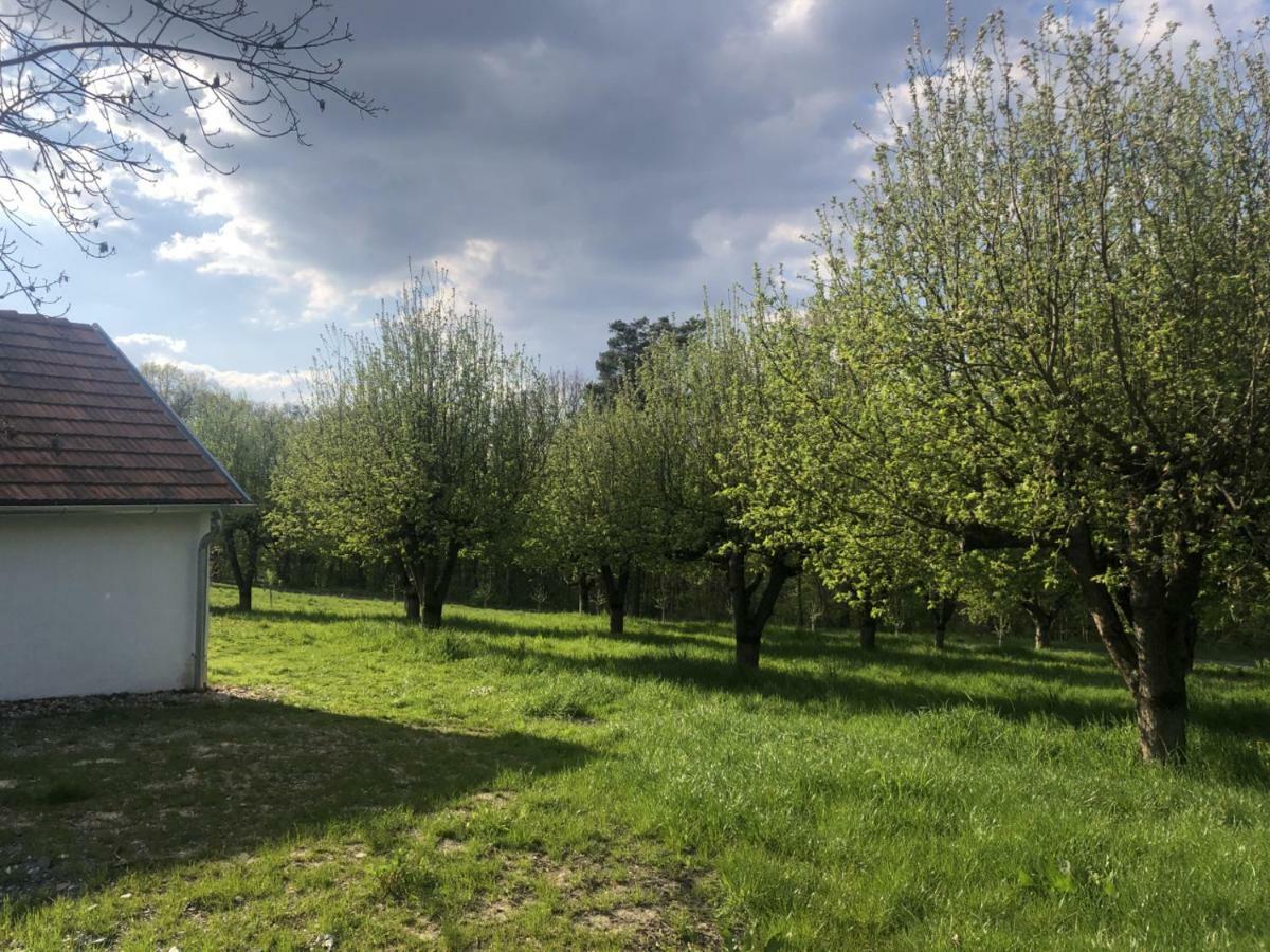 Appartamento Sonnenhof Limbach im Burgenland Esterno foto
