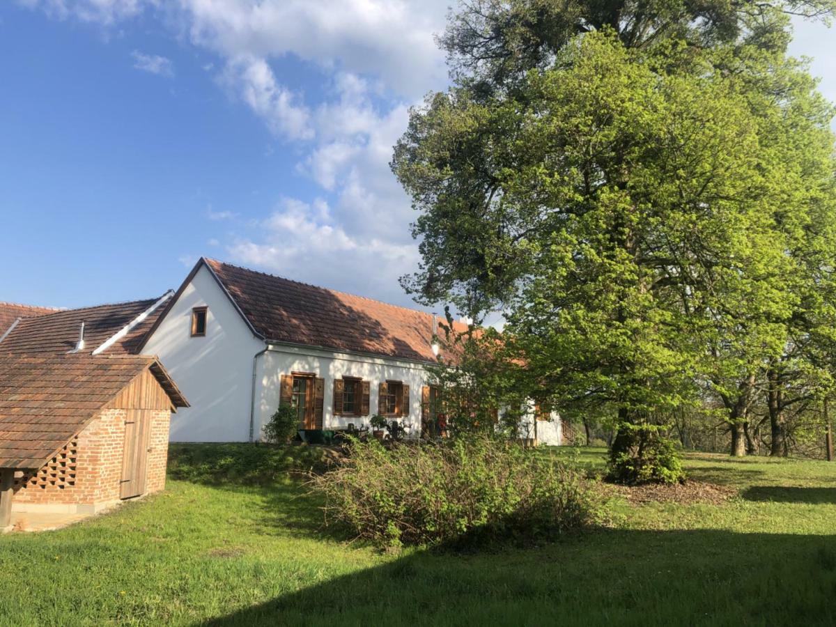 Appartamento Sonnenhof Limbach im Burgenland Esterno foto