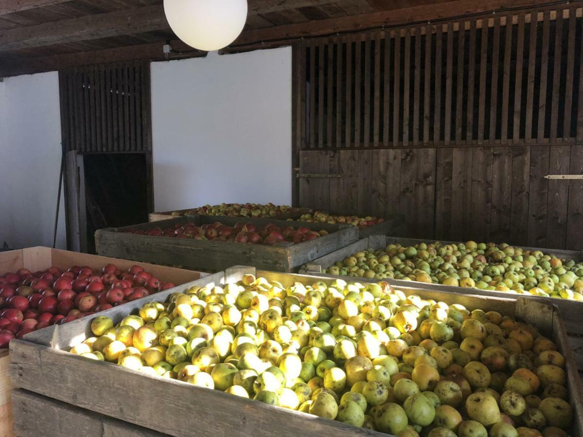 Appartamento Sonnenhof Limbach im Burgenland Esterno foto