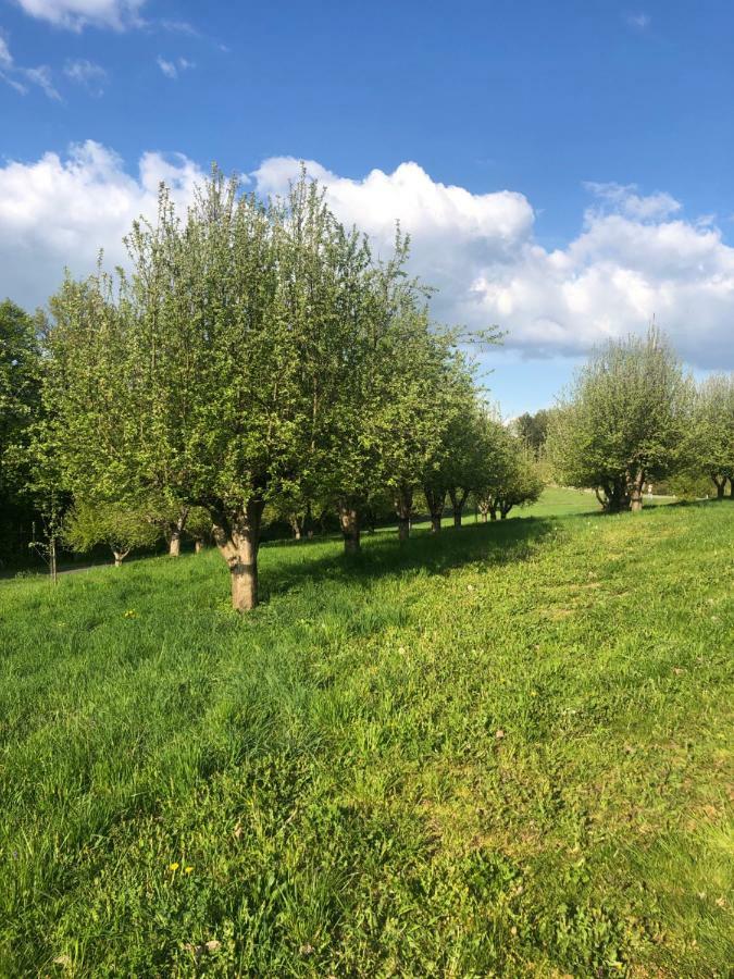 Appartamento Sonnenhof Limbach im Burgenland Esterno foto