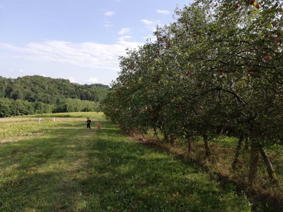 Appartamento Sonnenhof Limbach im Burgenland Esterno foto