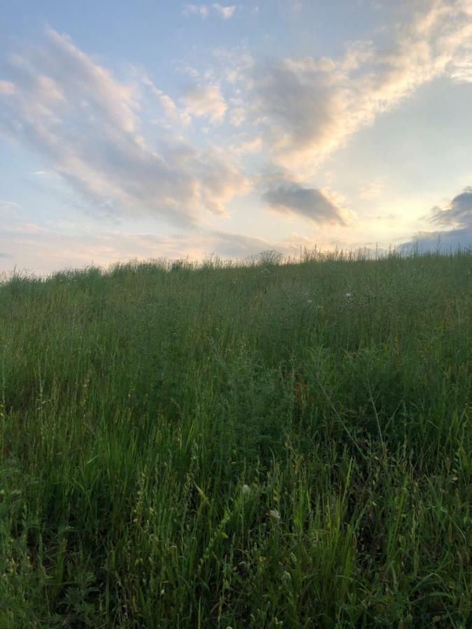 Appartamento Sonnenhof Limbach im Burgenland Esterno foto
