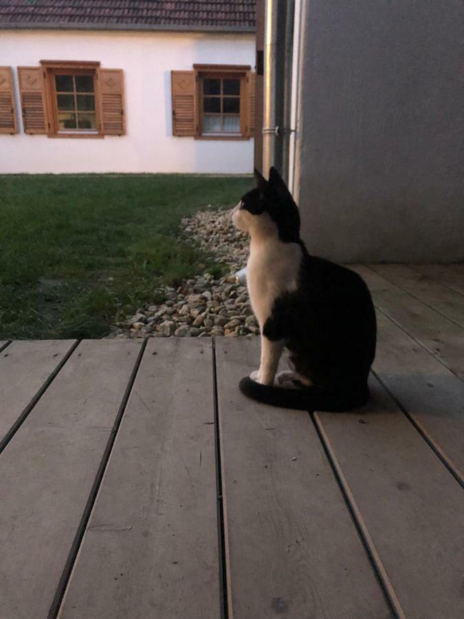Appartamento Sonnenhof Limbach im Burgenland Esterno foto