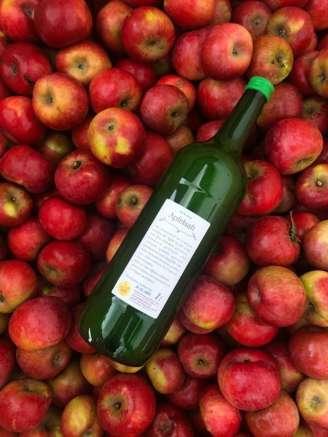 Appartamento Sonnenhof Limbach im Burgenland Esterno foto