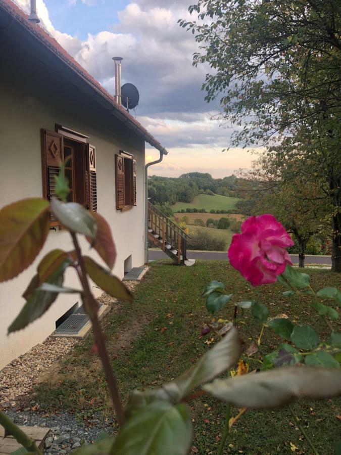 Appartamento Sonnenhof Limbach im Burgenland Esterno foto